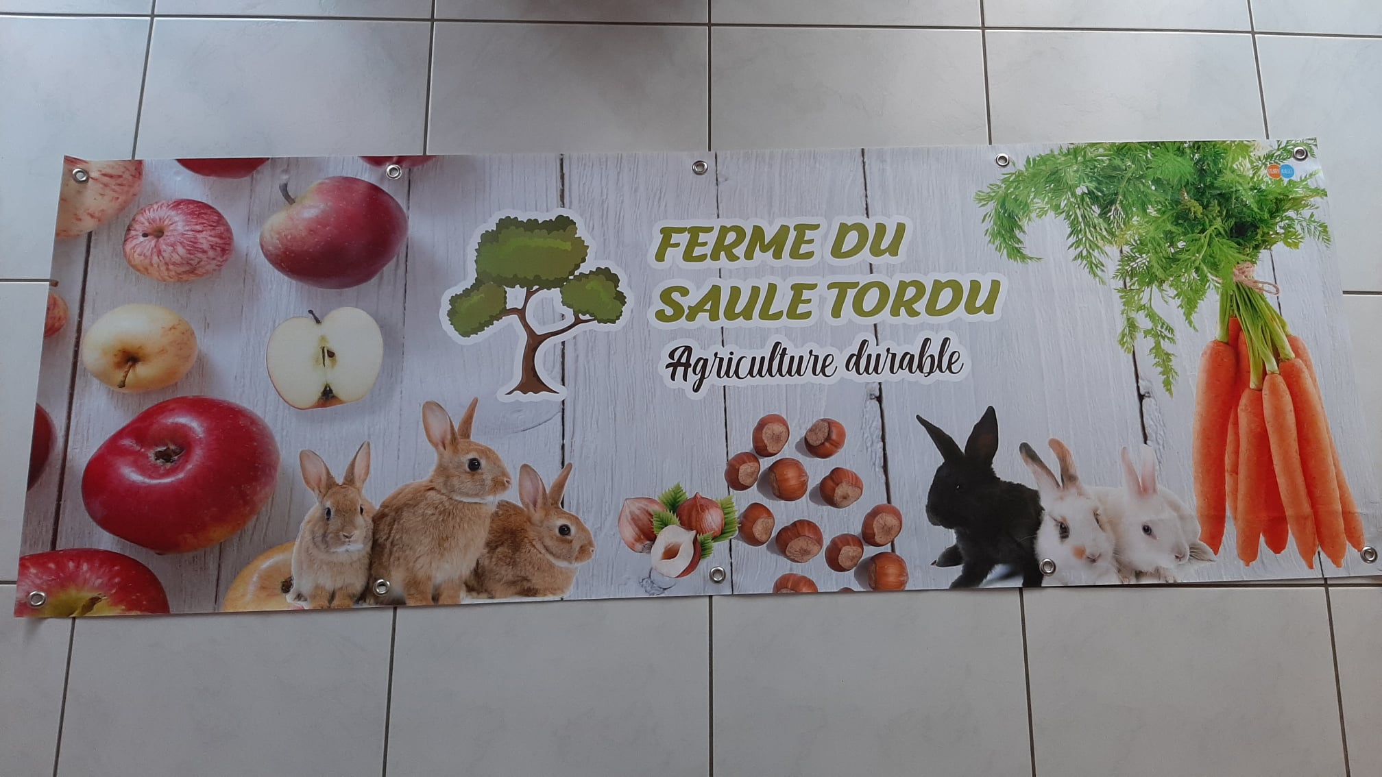 Ferme du Saule Tordu