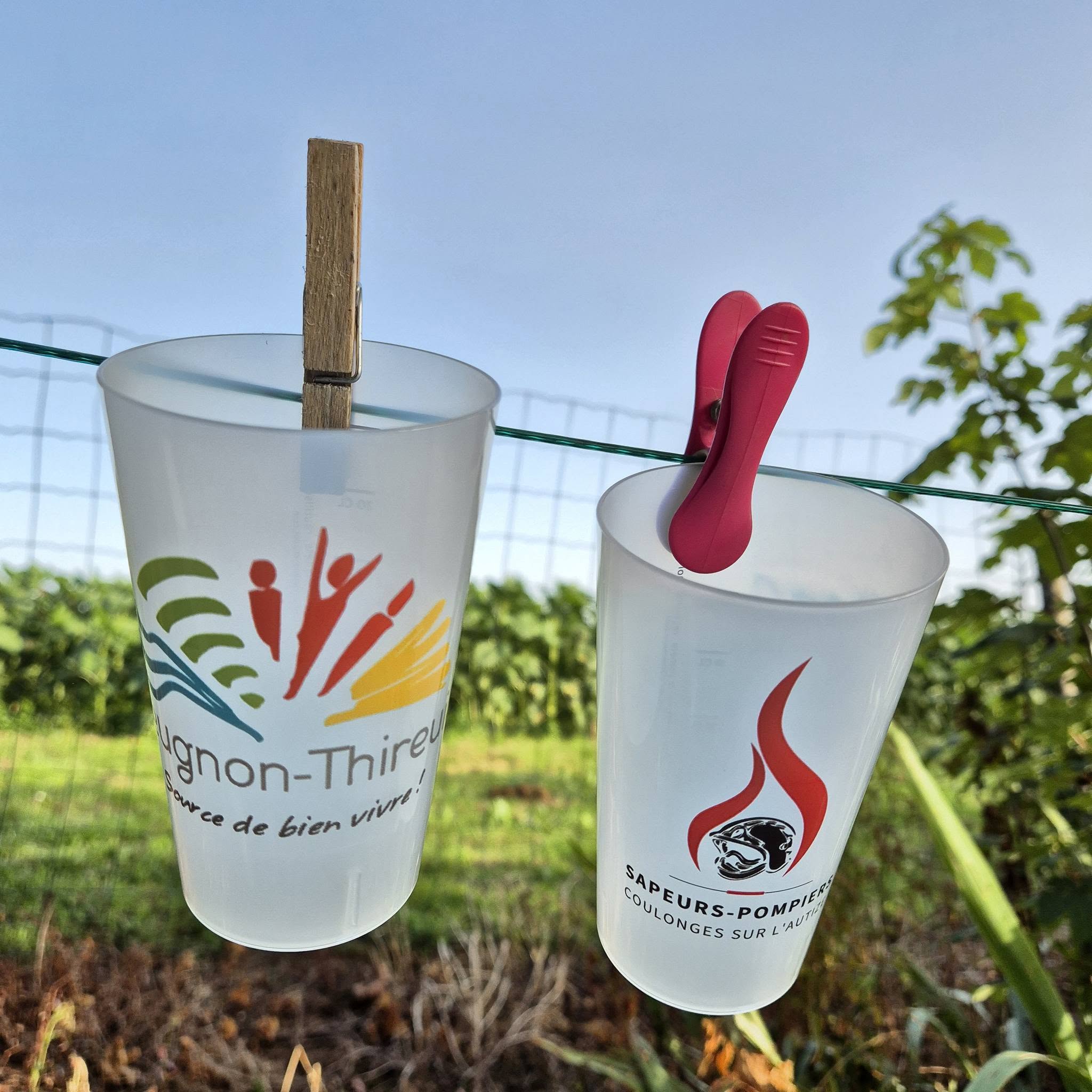 Amical Des Sapeur Pompier De Coulonges Et Beugnon-Thireul