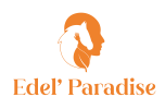 logo_rvb_orange